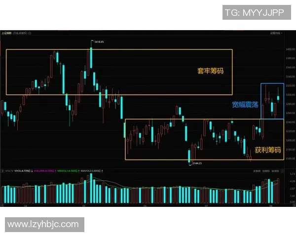 杭州足球队与上海足球队赛后技术分析与战术复盘探讨